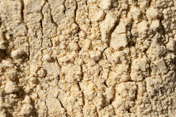 Abstract beige ground ginger background. Creativity in cooking.