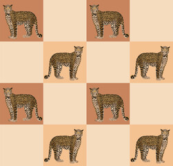 Obraz premium Abstract Hand Drawing Checkered Retro Leopard Seamless Vector Pattern Isolated Background