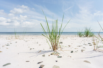 Sandstrand an der Ostsee