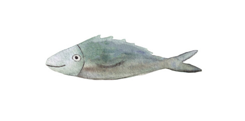 fish watercolour illustration 