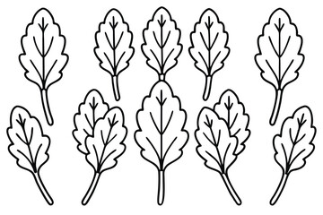 Radish Leaf line art perfect for botanical enthusiasts decor