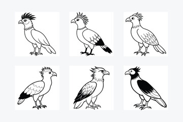 Eastern Phoebe bird stands icon vector silhouette illustration