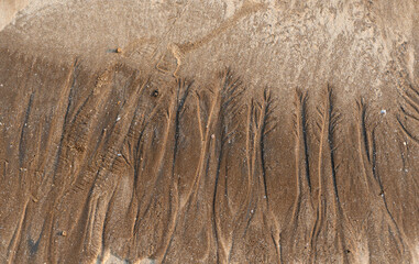 Natural texture: top view of beach sand, clear, clean and smooth. Minimalist background for summer concepts, travel, vacations and outdoor enjoyment.