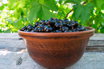 Ribes nigrum. black currant plate. berries in a clay pot on a wooden table. close-up. ripe, sweet berry. vitamins, diet. garden harvest, farming