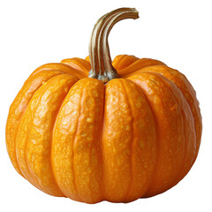 Orange pumpkin isolated on transparent background. Autumn or Halloween decoration