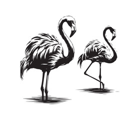 flamingo vector design,awesome flamingo svg,high resolution printable flamingo artwork