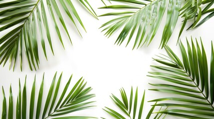 Obraz premium Tropical palm leaves on white background promoting summer vibes