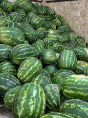 Lots of fresh organic watermelons at the farmer's market. 