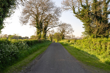 Kleiner Feldweg auf dem Land in Nordirland
