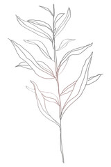 Png tree line art, minimal design on transparent background