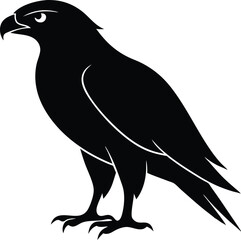 Hawk silhouette, Flying hawk bird, Hawk Bird Silhouette SVG, Eagle vector illustration
