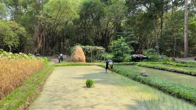 Cu Chi, Viet Nam Cu Chi tunnels were the Viet Cong's base of operations for the Tet Offensive in 1968. Famous tourist attraction in Vietnam