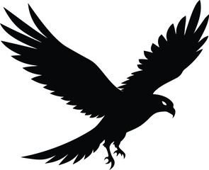 Hawk silhouette, Flying hawk bird, Hawk Bird Silhouette SVG, Eagle vector illustration
