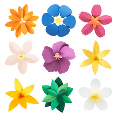 Tropical paper flower png set