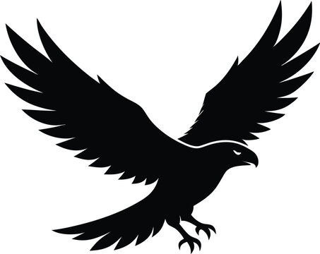 recommend clip art: Hawk silhouette, Flying hawk bird, Hawk Bird Silhouette SVG, Eagle vector illustration
                    
