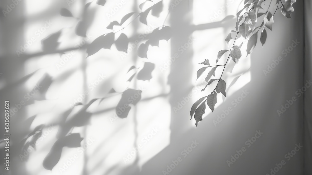 Poster an overlay effect featuring natural light and shadows from a window on a white background. a silhoue