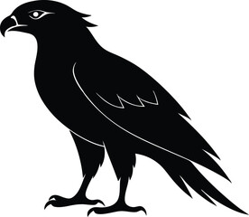 Hawk silhouette, Flying hawk bird, Hawk Bird Silhouette SVG, Eagle vector illustration
