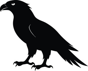 Hawk silhouette, Flying hawk bird, Hawk Bird Silhouette SVG, Eagle vector illustration
