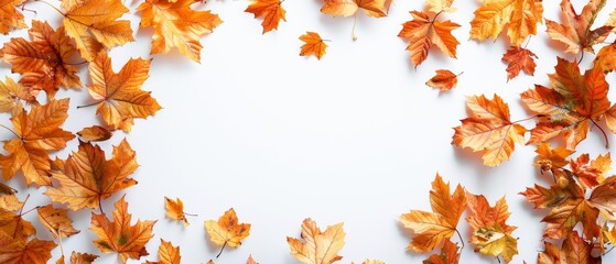 Autumnal leaves frame isolated on white 