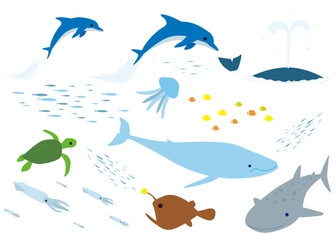 海の生き物セット1