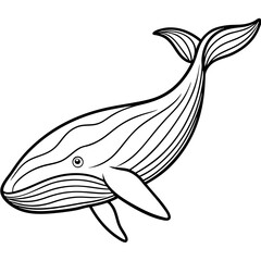 whale line art vector illustrations