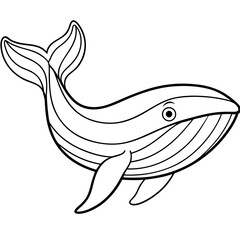 whale line art vector illustrations