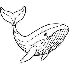 whale line art vector illustrations