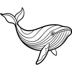 whale line art vector illustrations