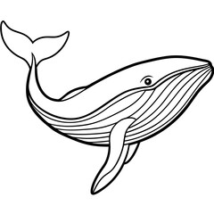 whale line art vector illustrations