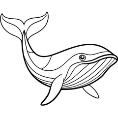 whale line art vector illustrations