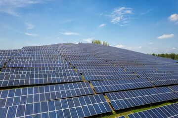 Expansive Field of Solar Panels Under Clear Sky