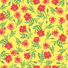 Marigold Flower Seamless Pattern. Hand Drawn Floral Digital Paper on Yellow Background.