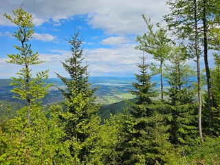 Piękne widoki gór, tatry o zachodzie słońca 