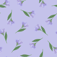 Simple Cornflower Floral Seamless Pattern on a Blue Background. Hand Drawn Simple Cornflower Digital Paper. Wild Meadow Flowers Drawn by Colored Pencils.