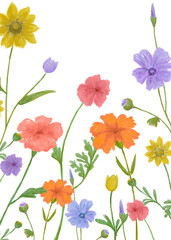 Png summer floral transparent background