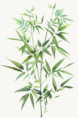 An illustration of a plant with white background