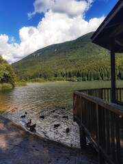 Fototapeta premium bridge over the lake