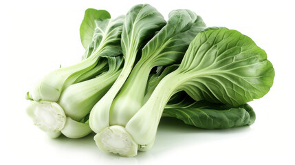 Fresh baby bok choy lined up on white background