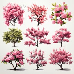 Collections of different trees and sizes