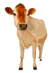 Cow png farm animal illustration, digital sticker, transparent background
