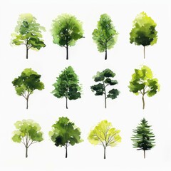 A collection of green trees watercolor