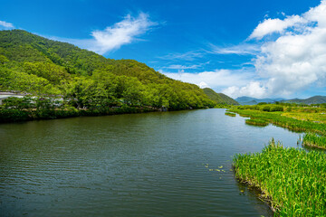 Beautiful riverside village scenery with old trees and forests.