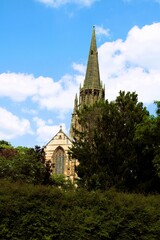 Fototapeta premium a row of green ornamental bushes with a church tower in the background