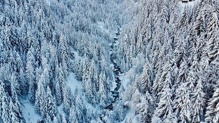 vue aérienne prise par drone - forêt enneigéé