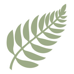 A green fern leaf with several fronds