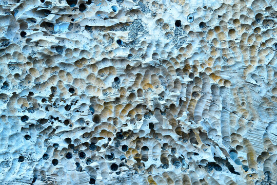 Intricate erosive pattern on coastal driftwood