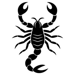 Scorpion silhouette vector