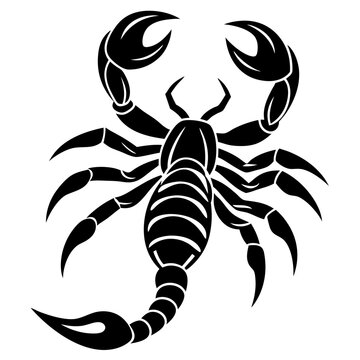recommend clip art: Scorpion silhouette vector