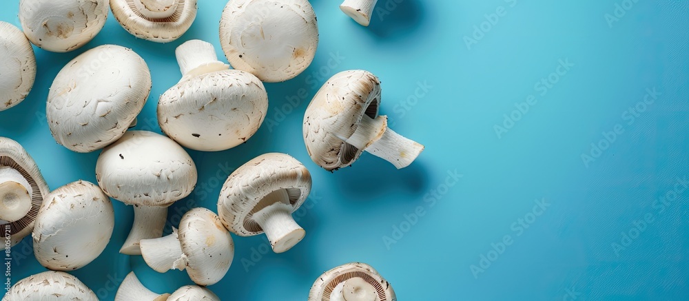 Fototapete close up image of champignons on a blue background with copy space image