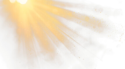 Sunlight with a glare on the camera on a black background